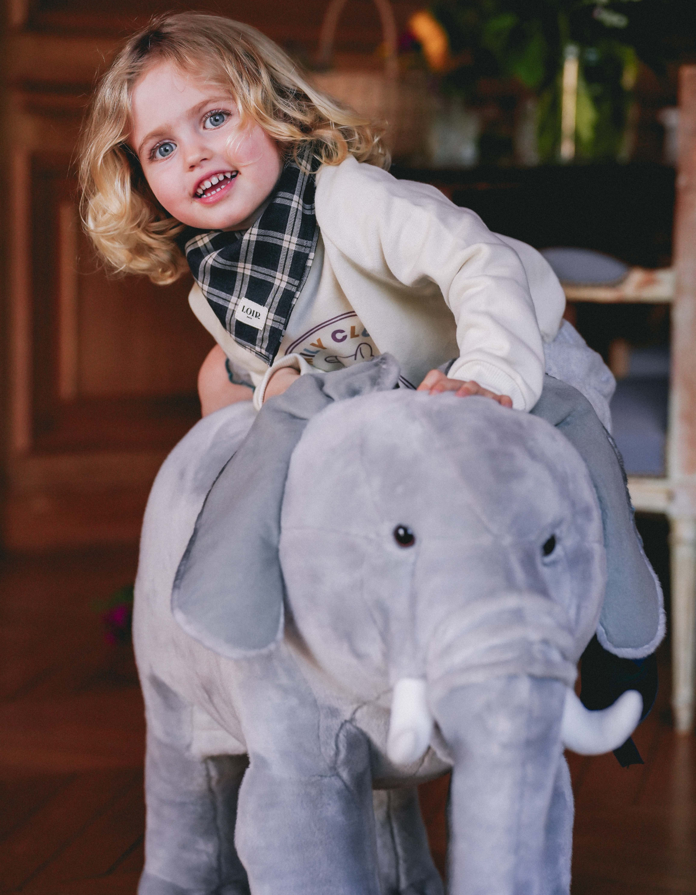 Foulard ALFRED - Tartan Gris