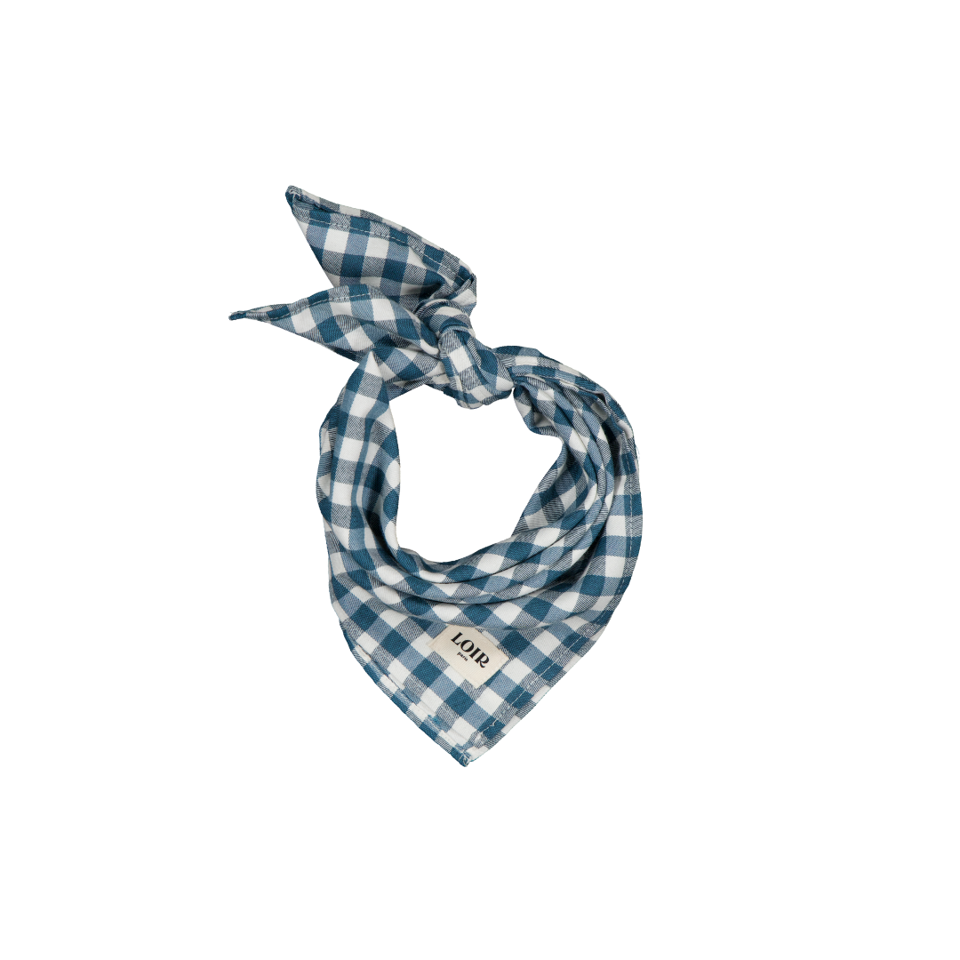 Foulard ALFRED - Vichy Bleu Canard