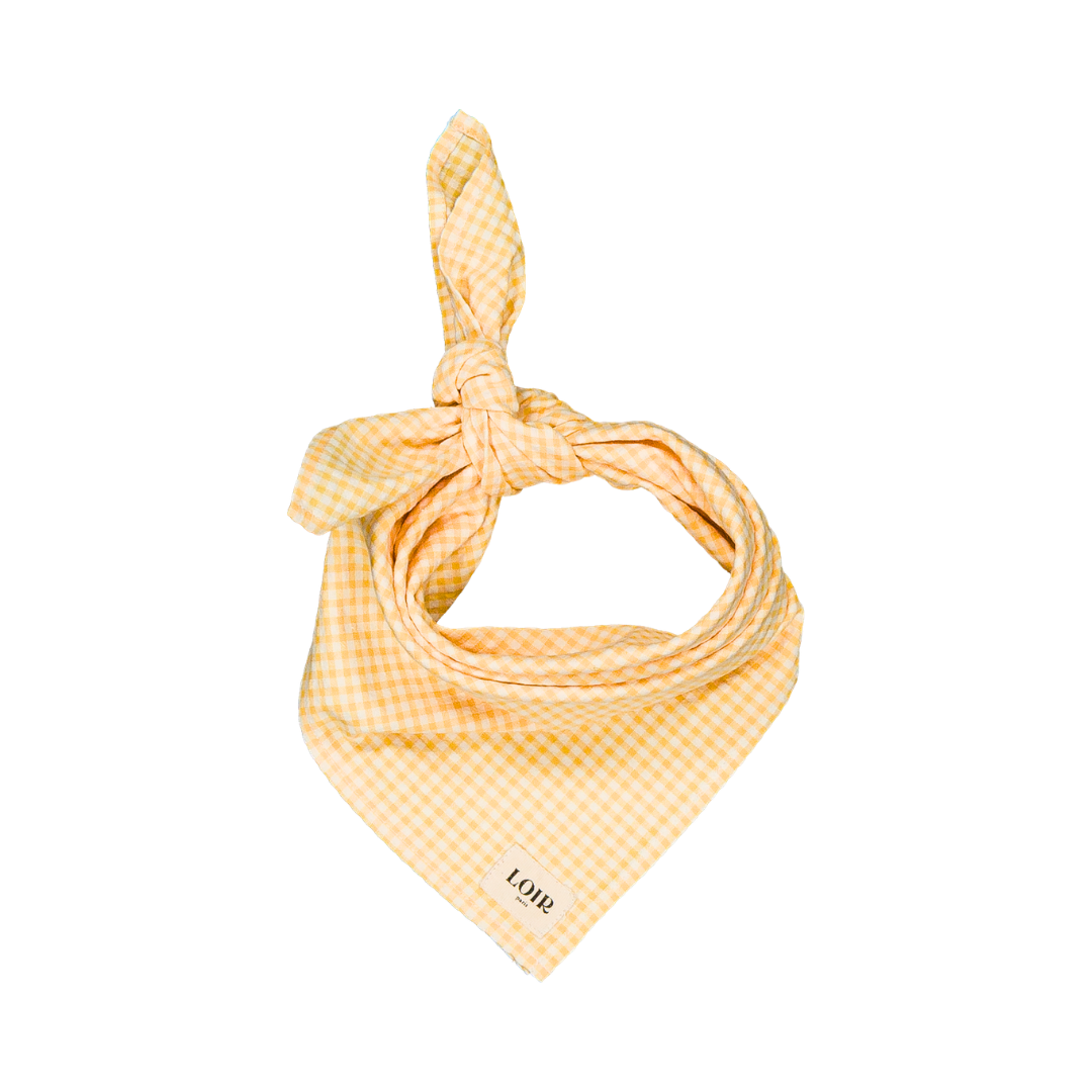 Foulard Alfred - Vichy jaune