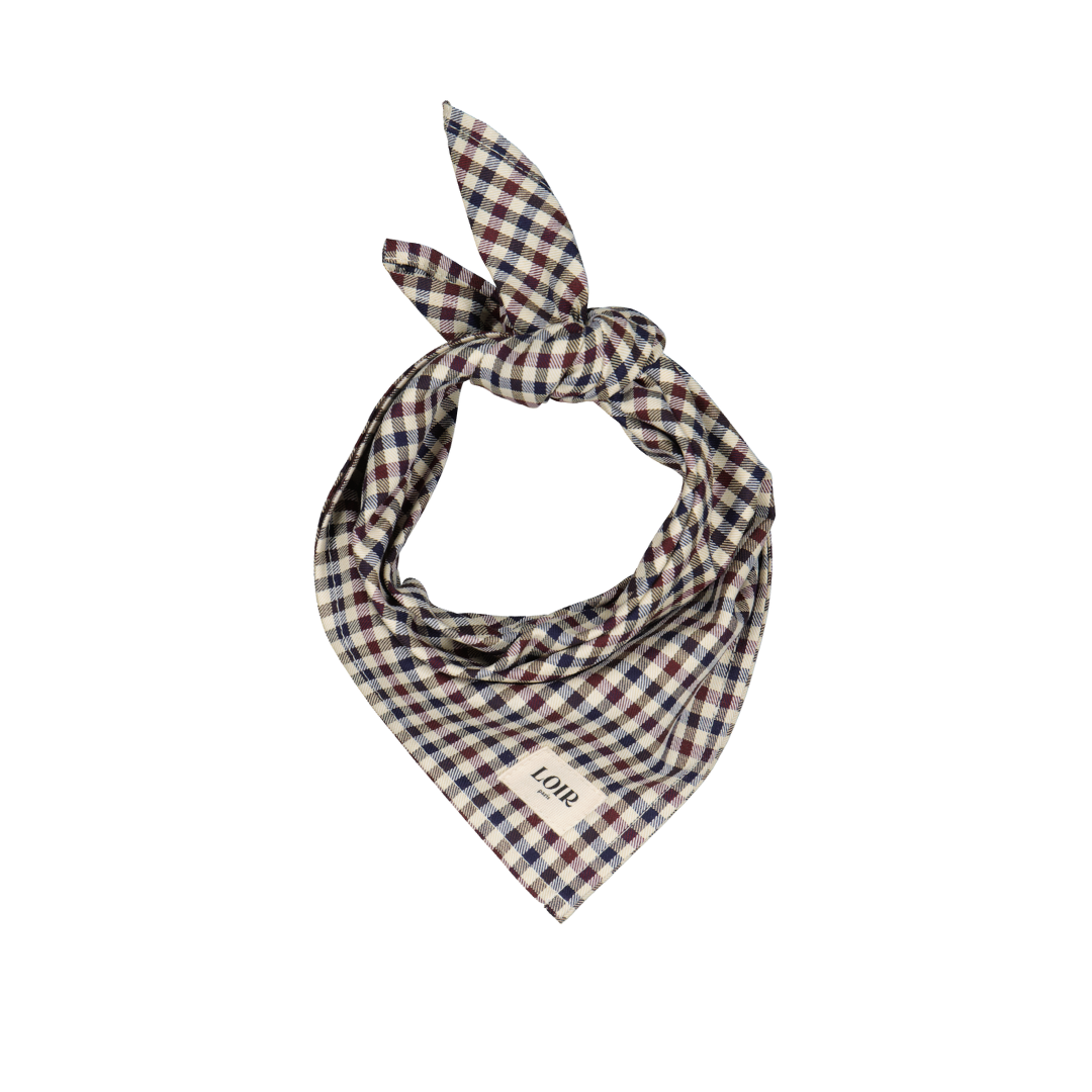 Foulard ALFRED - Vichy bleu & rouge