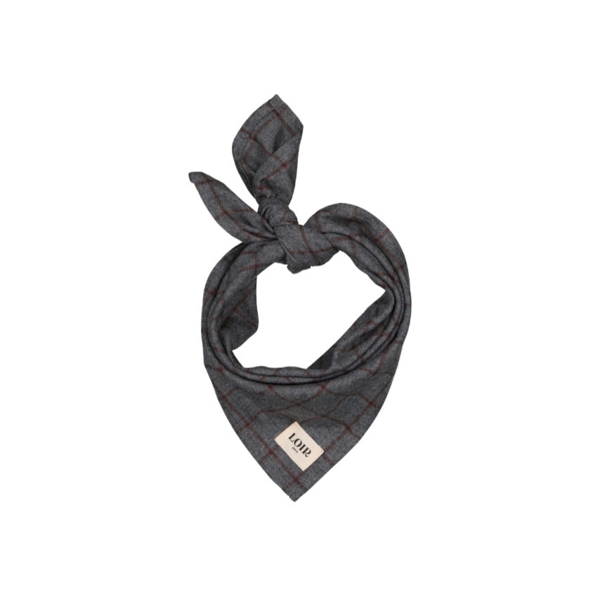 Foulard ALFRED - Carreaux gris