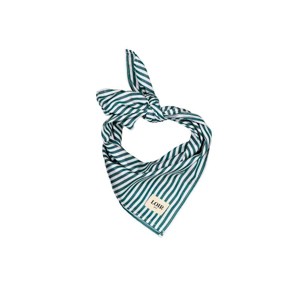 Foulard ALFRED - Green stripes