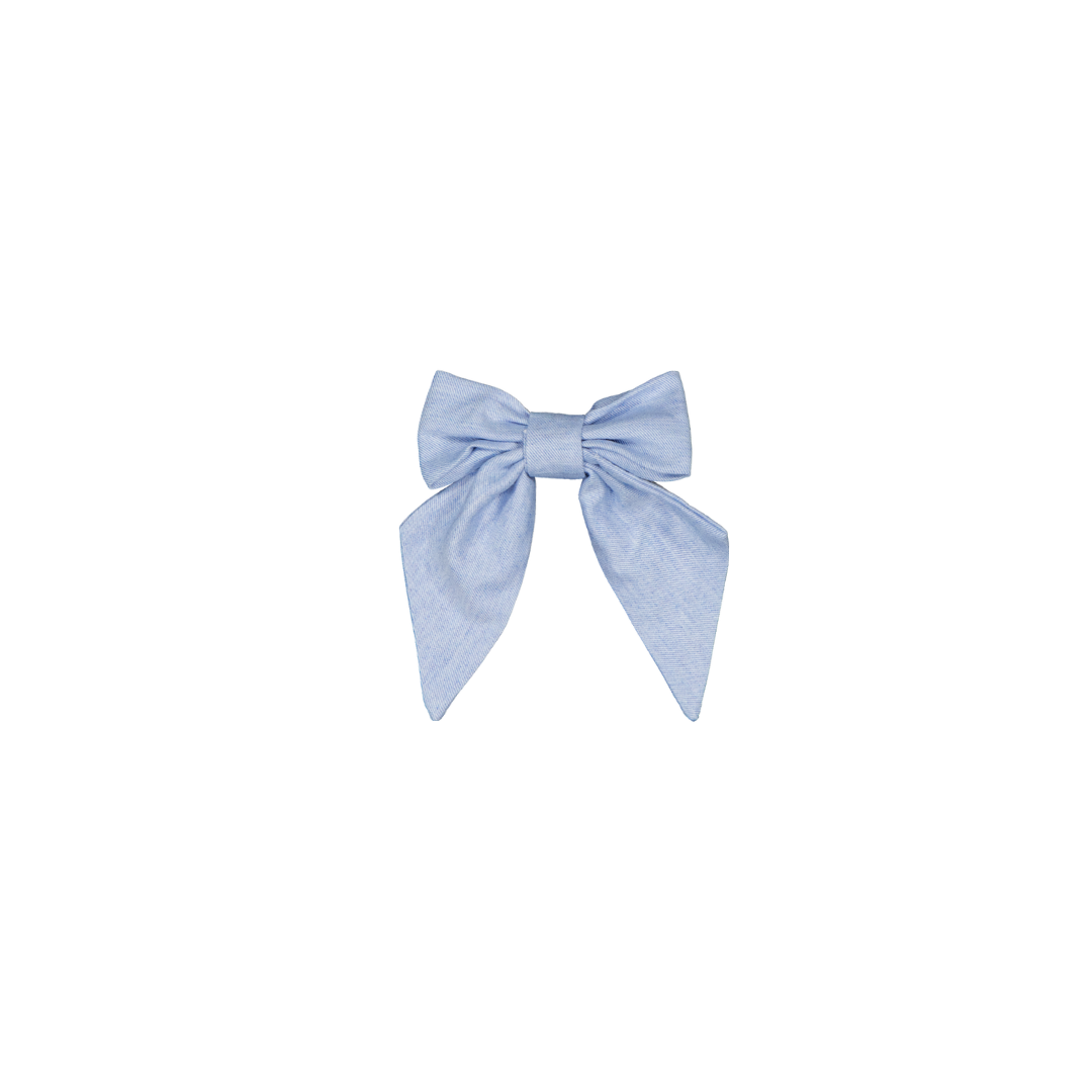 Barette CARLOTTA - Bleu