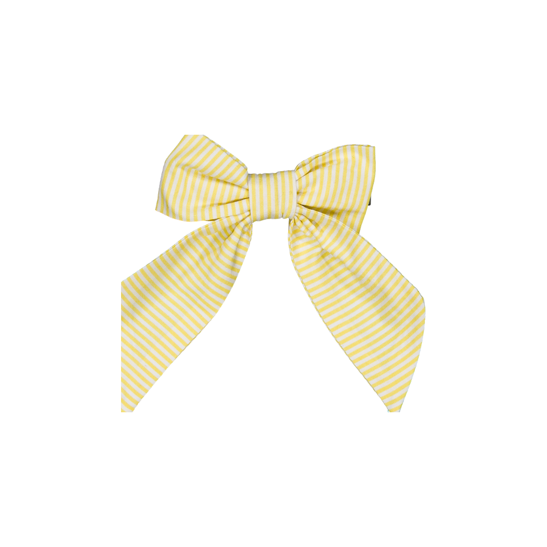 Barette Carlotta - Rayures jaunes